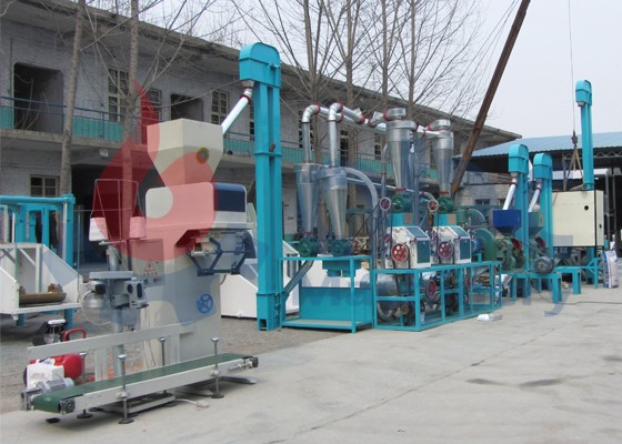 10 tons mini flour mill project to Congo