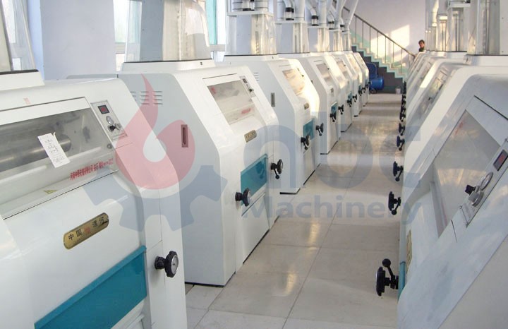 250 ton wheat flour line