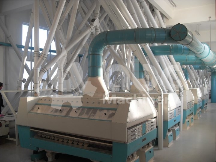 300TPD refined wheat flour mill project in Algeria
