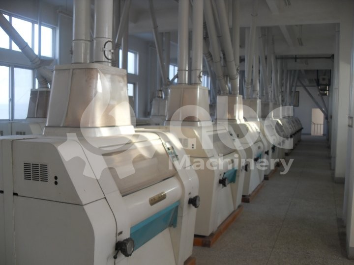 300TPD Refined Wheat Flour Mill Project in Algeria