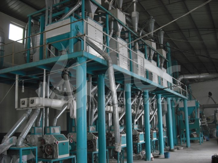 60TPD Wheat Flour Milling Plant in Algeria