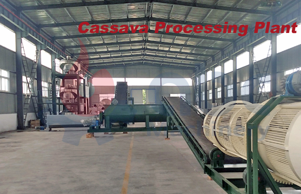 cassava processing plant