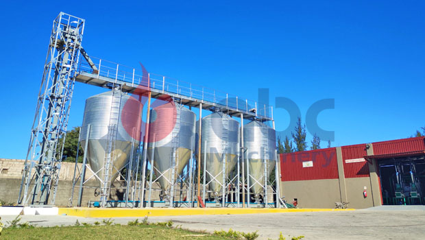 100 Ton Maize Silo Ship To Mozambique