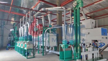 20TPD Corn Processing Plant Set Up in Mozambique