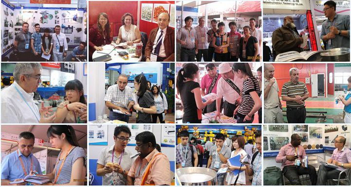 flour mill plant supplier in canton fair