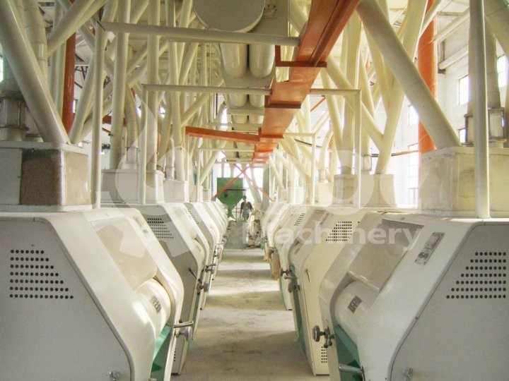 ground floor of 100TPD flour plant