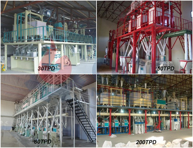 maize  milling plant build