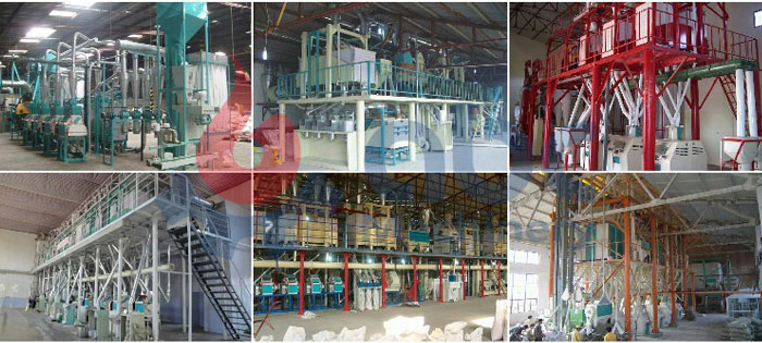 maize processing plant