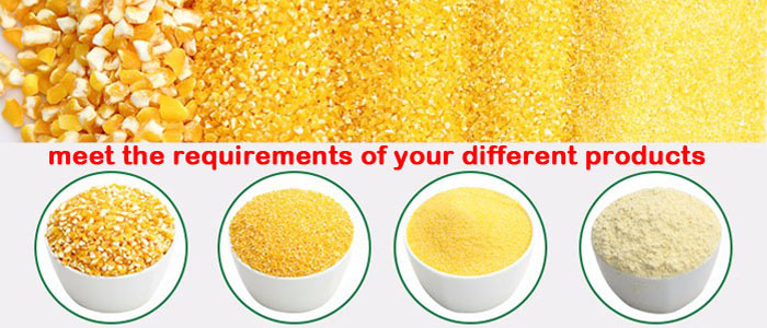 maize processing