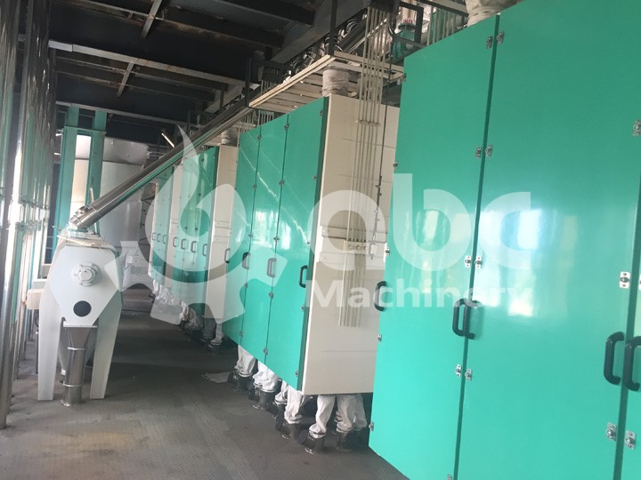 plansifter of wheat flour plant