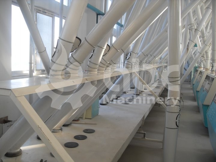 300TPD refined wheat flour mill project in Algeria