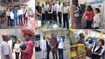 Wheat Flour Mill Business Plan in Nigeria