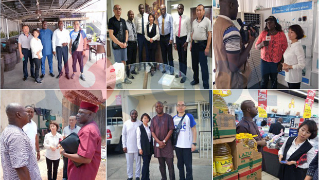 wheat flour mill business plan in Nigeria